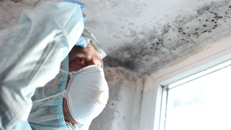 Best Mold Odor Removal Services  in Elm Springs, AR